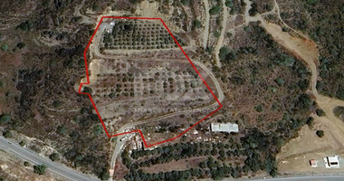 Agricultural Land for sale in Asgata: with trees, water well & automated irrigation system