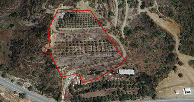 Agricultural Land for sale in Asgata: with trees, water well & automated irrigation system