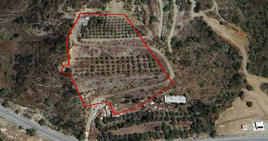 Agricultural Land for sale in Asgata: with trees, water well & automated irrigation system