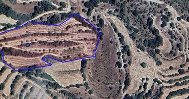 Agricultural Land in Amargeti , Paphos