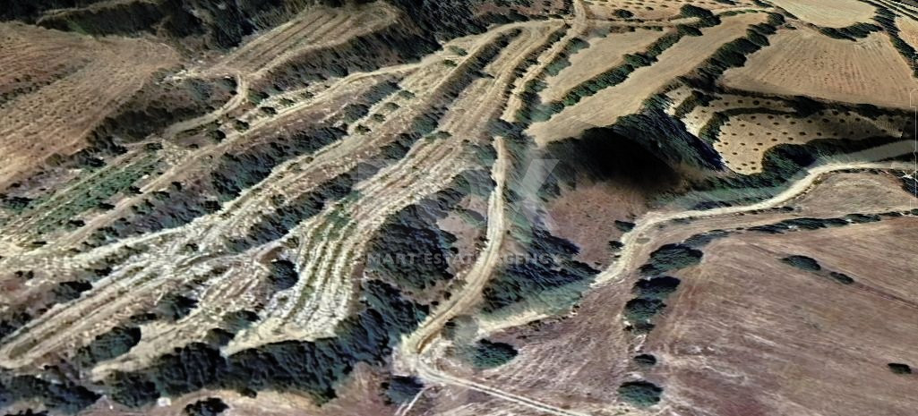 Agricultural Land in Amargeti , Paphos