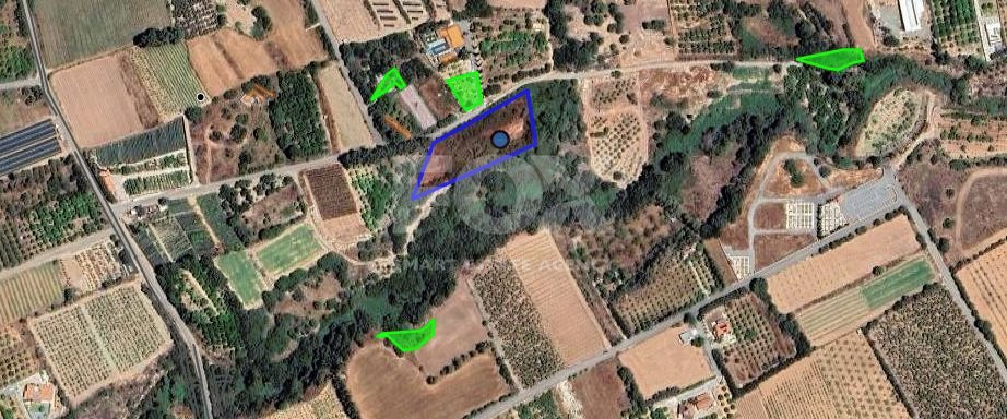 Agricultural land for sale in Kissonerga, Paphos, Cyprus,