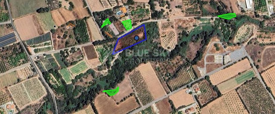 Agricultural land for sale in Kissonerga, Paphos, Cyprus,