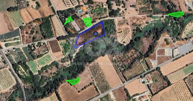 Agricultural land for sale in Kissonerga, Paphos, Cyprus,