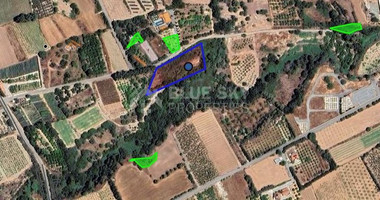 Agricultural land for sale in Kissonerga, Paphos, Cyprus,