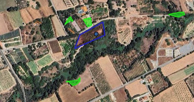 Agricultural land for sale in Kissonerga, Paphos, Cyprus,