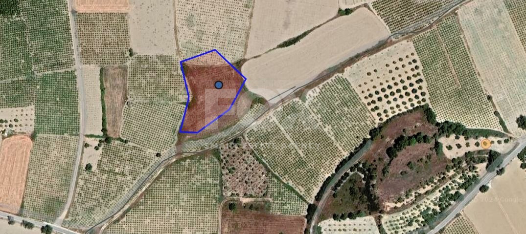 Agricultural Land In Polemi, Paphos
