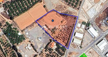 Land In Tremithousa,  Paphos