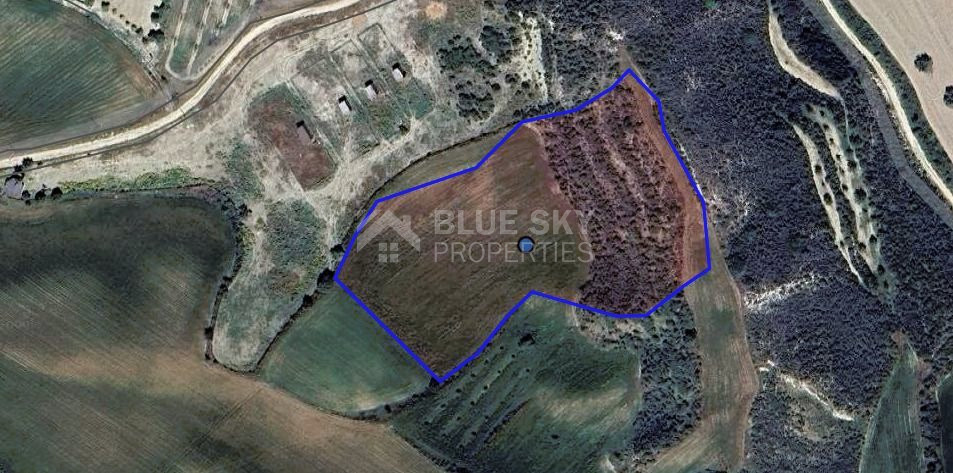 Two Agricultural lands in Steni , Paphos