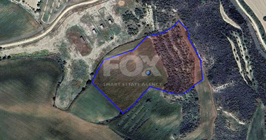 Two Agricultural lands in Steni , Paphos