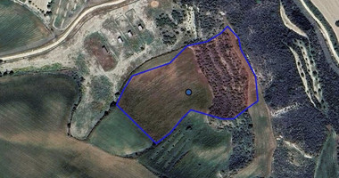 Two Agricultural lands in Steni , Paphos