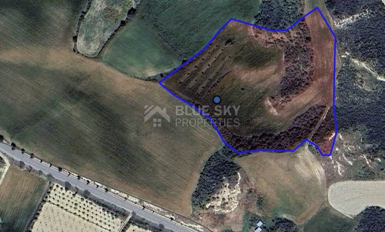 Two Agricultural lands in Steni , Paphos