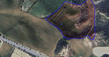 Two Agricultural lands in Steni , Paphos