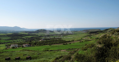 Two Agricultural lands in Steni , Paphos