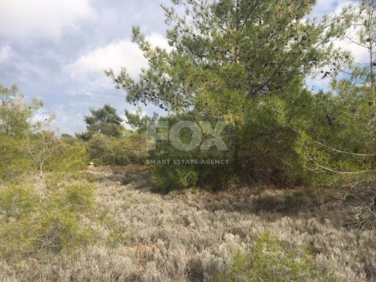 Land For Sale In Souni Zanakia Limassol Cyprus