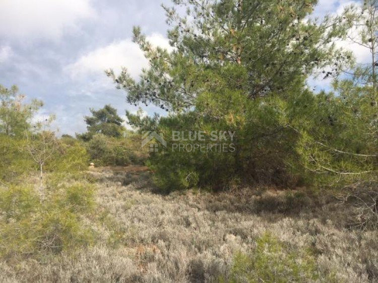 Land For Sale In Souni Zanakia Limassol Cyprus