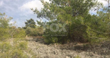 Land For Sale In Souni Zanakia Limassol Cyprus