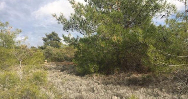 Land For Sale In Souni Zanakia Limassol Cyprus