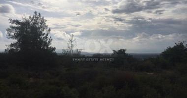 Land For Sale In Souni Zanakia Limassol Cyprus