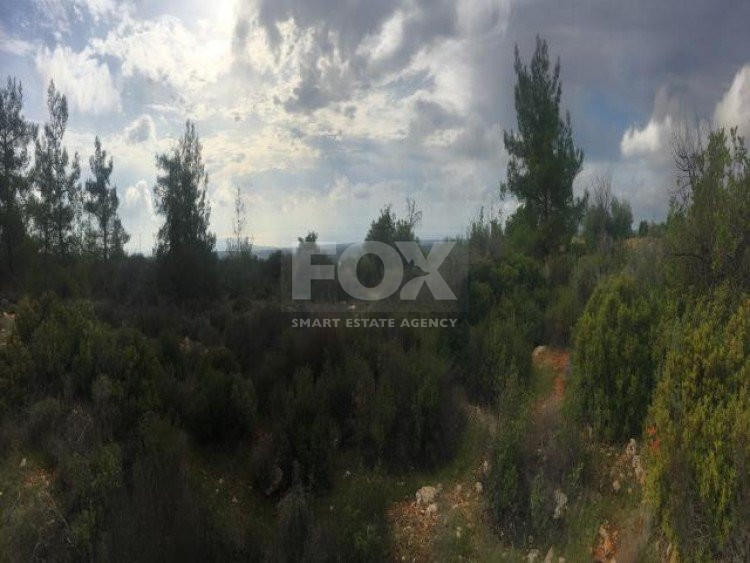 Land For Sale In Souni Zanakia Limassol Cyprus