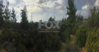 Land For Sale In Souni Zanakia Limassol Cyprus