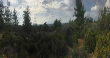 Land For Sale In Souni Zanakia Limassol Cyprus