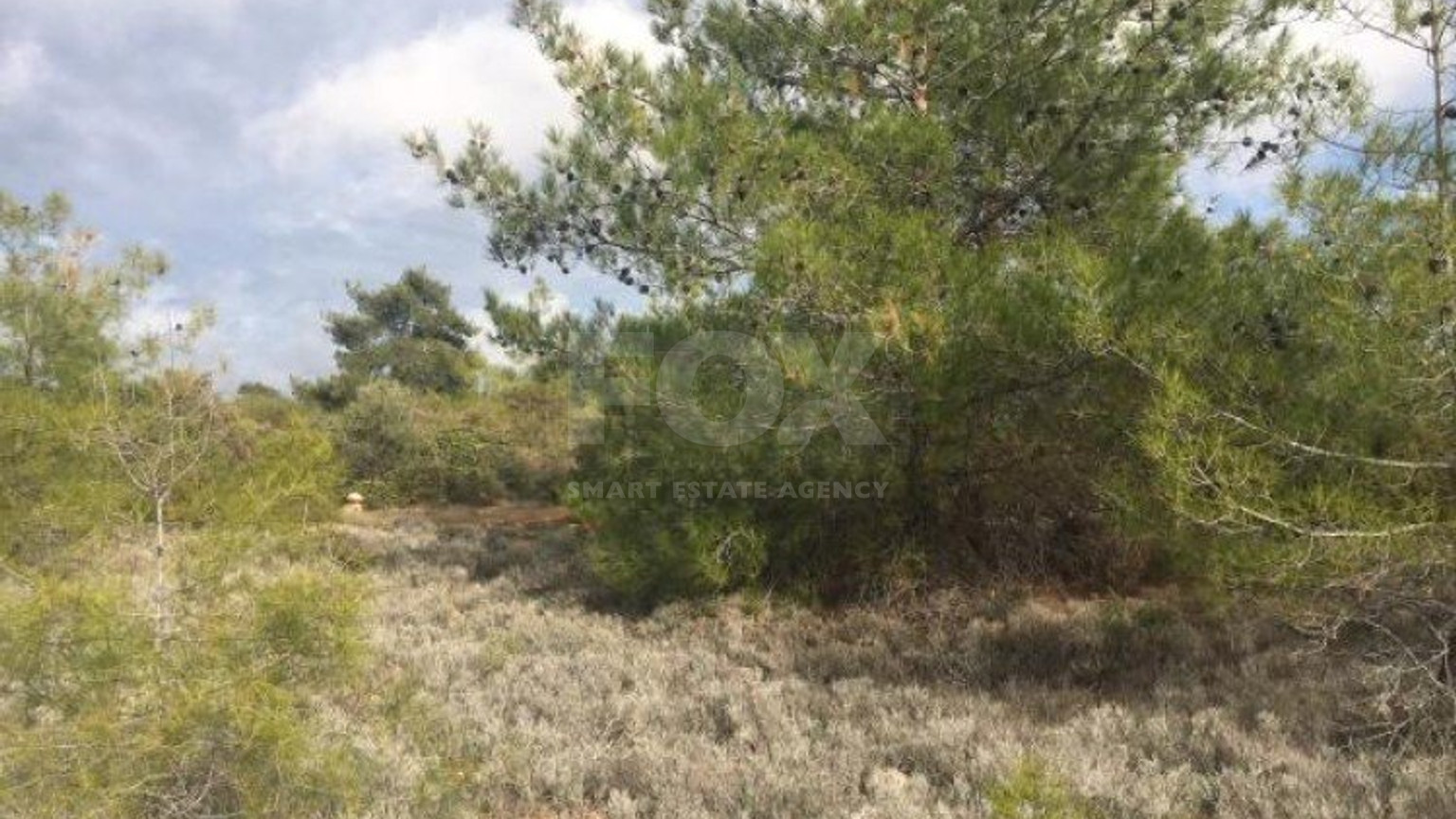 Land For Sale In Souni Zanakia Limassol Cyprus