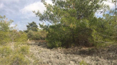 Land For Sale In Souni Zanakia Limassol Cyprus