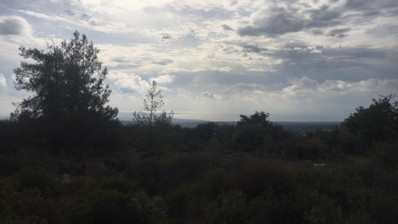 Land For Sale In Souni Zanakia Limassol Cyprus