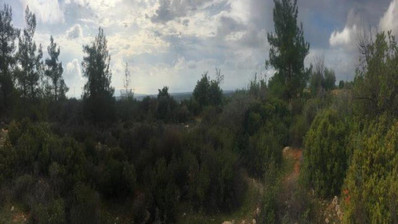 Land For Sale In Souni Zanakia Limassol Cyprus