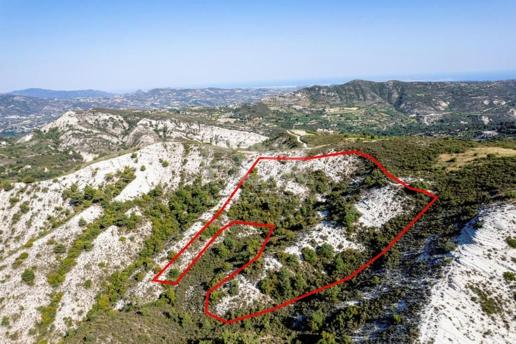 Agriculture land for sale in Pera Pedi, Limassol