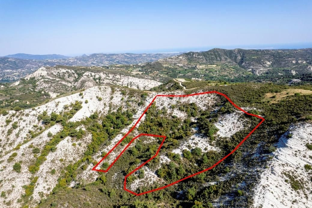 Agriculture land for sale in Pera Pedi, Limassol