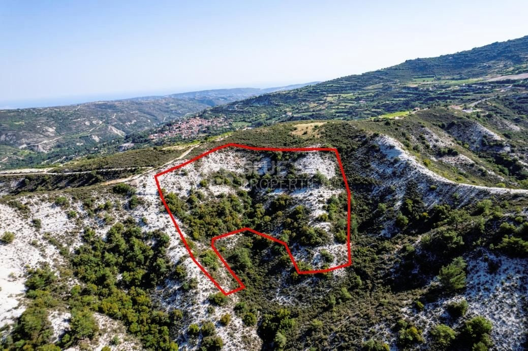 Agriculture land for sale in Pera Pedi, Limassol