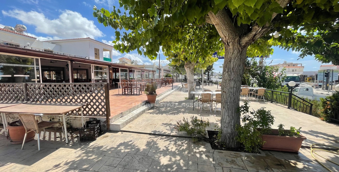 Investment Opportunity Near The Sea In Magnificent Chloraka