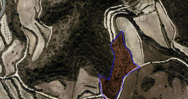 Agriculture land in Theletra village