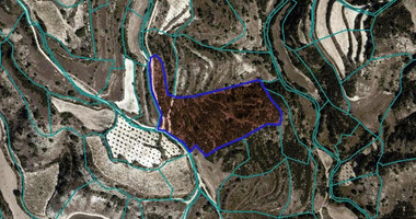 Agriculture land in Polemi village