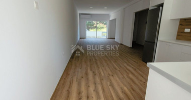 Fully renovated house  for rent in Katholiki