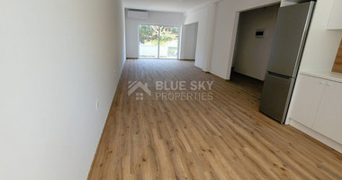 Fully renovated house  for rent in Katholiki