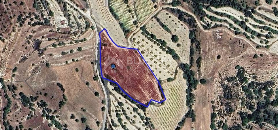 Land In Kallepia Paphos Cyprus