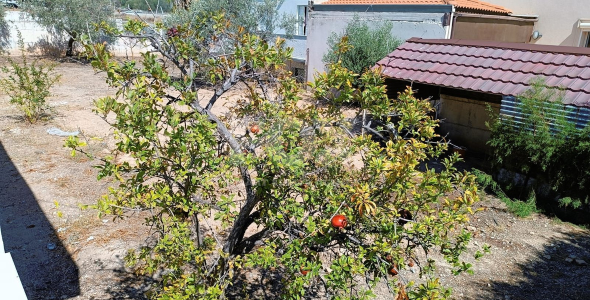 Large Residential Building Plot with House for Sale in Mesa Geitonia