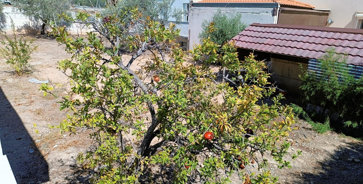 Large Residential Building Plot with House for Sale in Mesa Geitonia