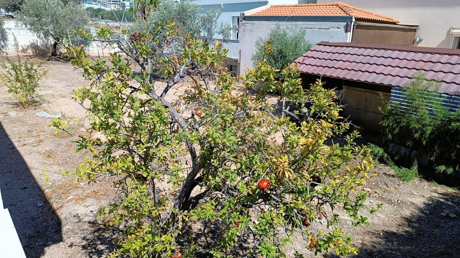 Large Residential Building Plot with House for Sale in Mesa Geitonia