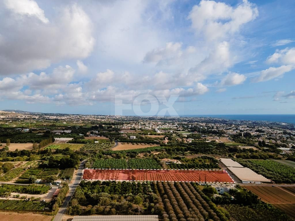 Agricultural field in Kissonerga , Paphos