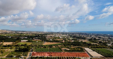 Agricultural field in Kissonerga , Paphos