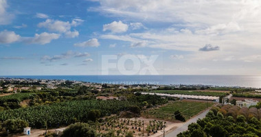 Agricultural field in Kissonerga , Paphos