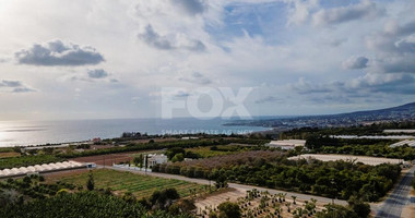 Agricultural field in Kissonerga , Paphos