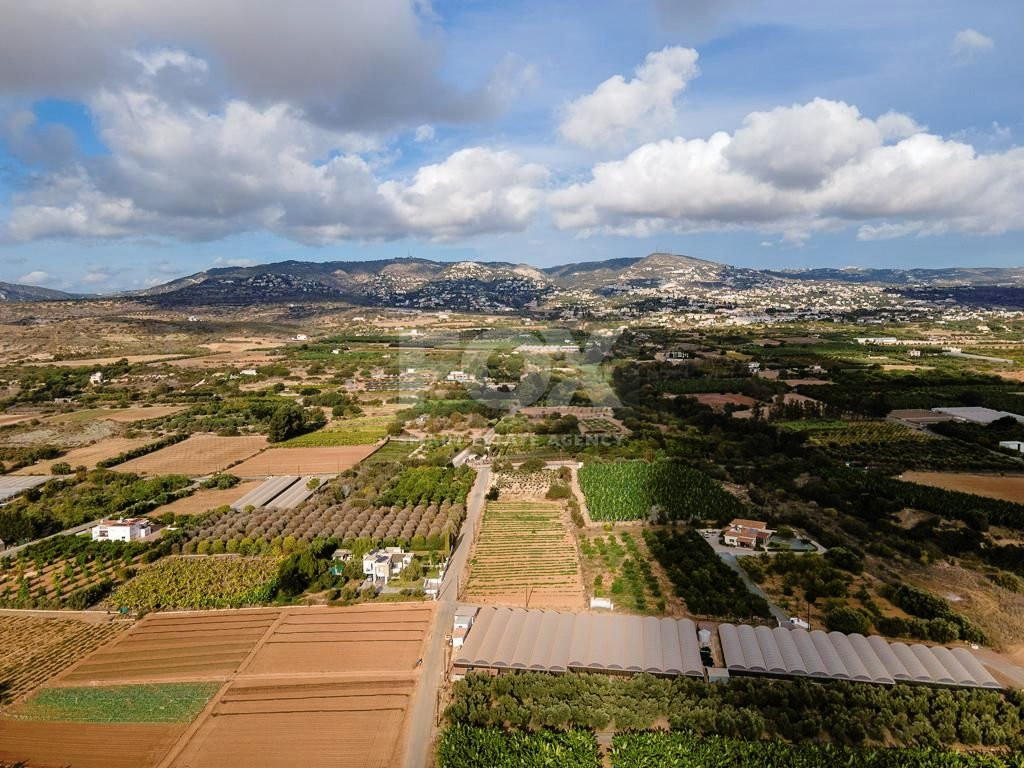 Agricultural field in Kissonerga , Paphos