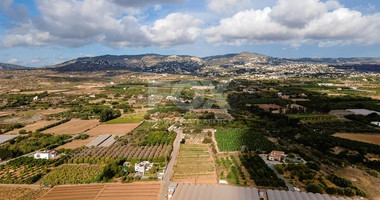 Agricultural field in Kissonerga , Paphos