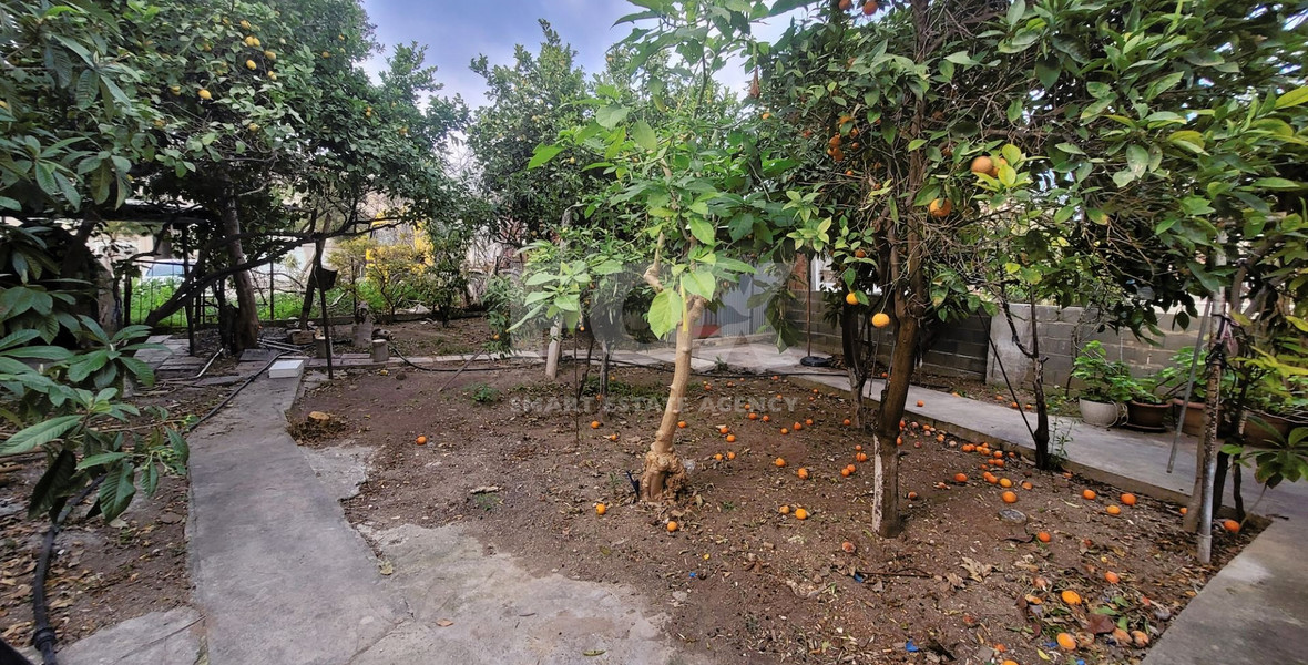Furnished Ground Floor Two Bedroom Detached House For rent In Zakaki,