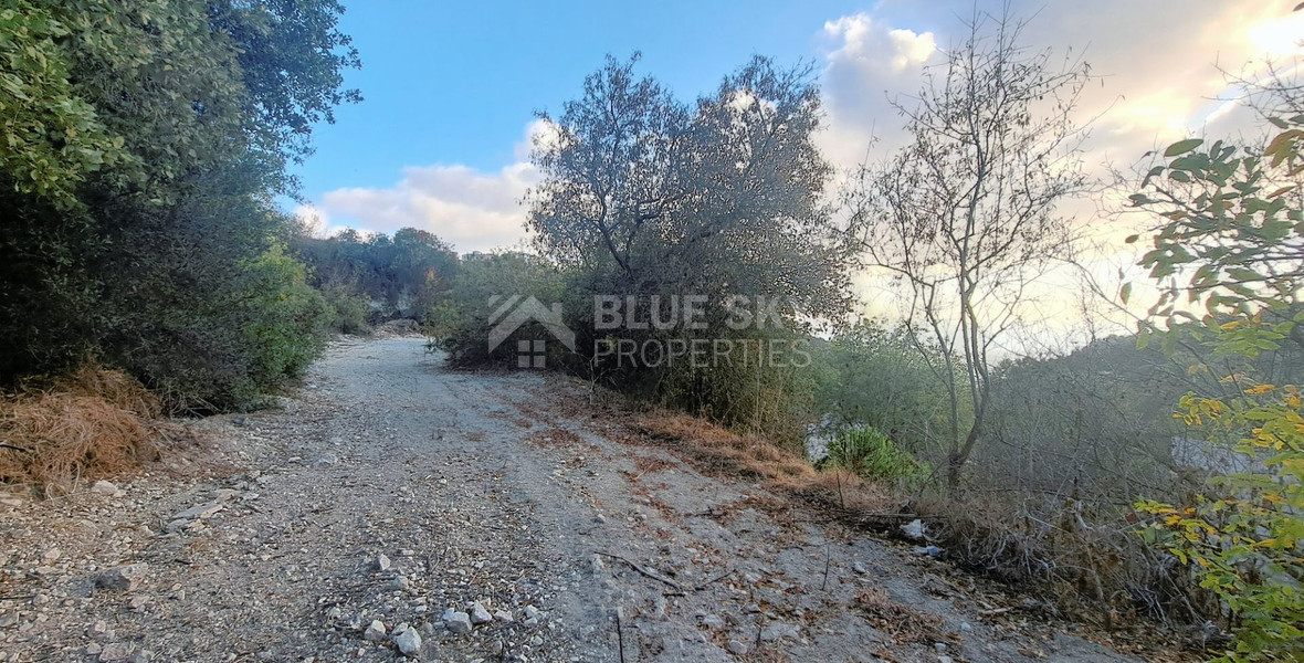 Residential land in Tsada